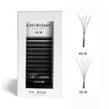 SPEEDY Lashes W - Narrow Premade Fans Black