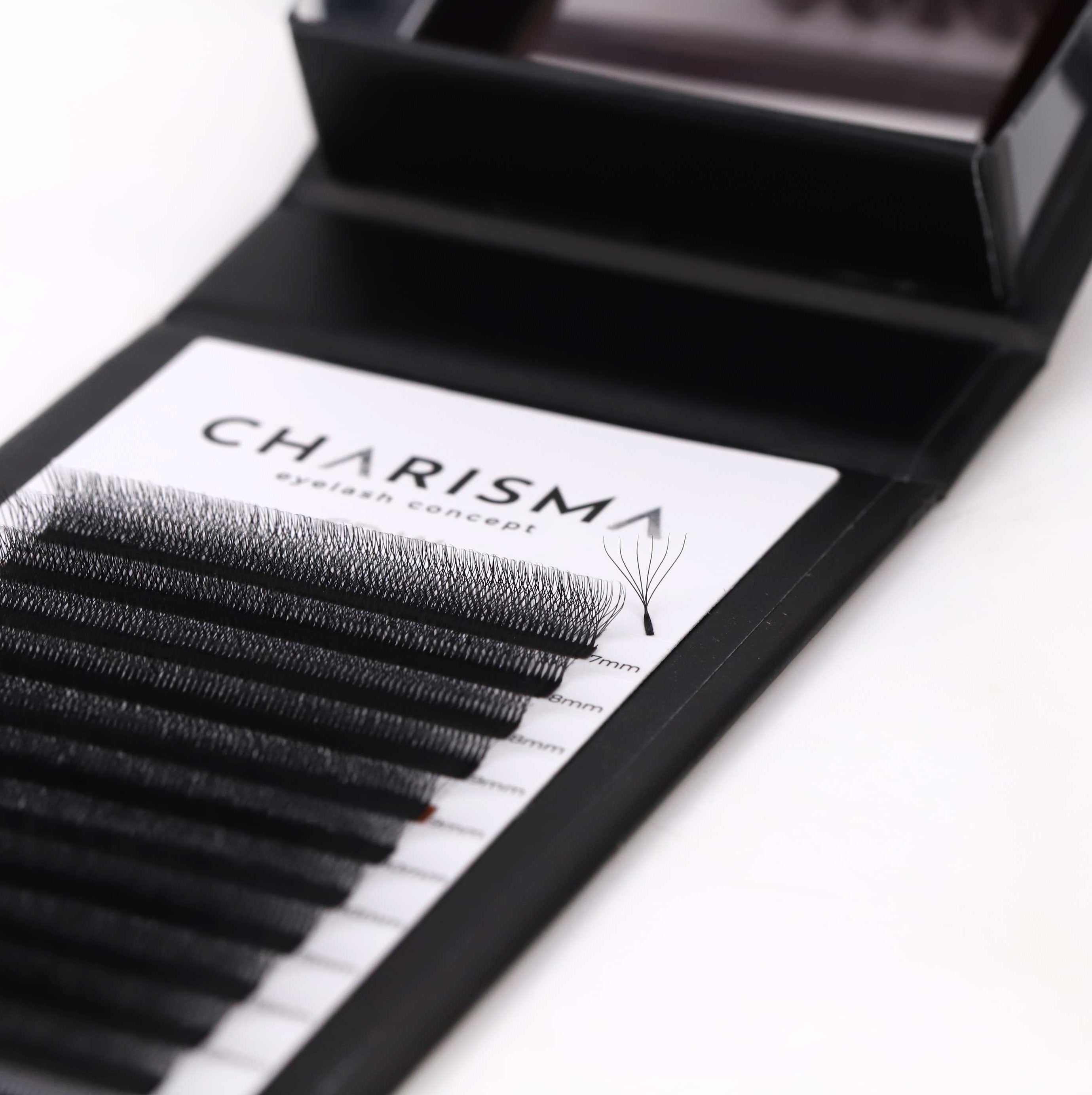 SPEEDY Lashes W  Premade Fans Black