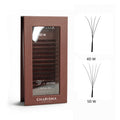 SPEEDY Lashes W - Narrow Premade Fans Brown