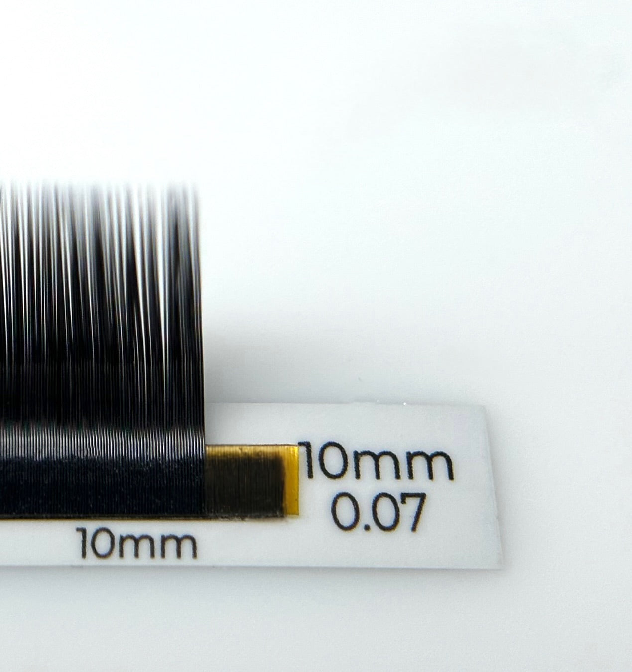 ESSENTIALS 16 lines Black Lashes