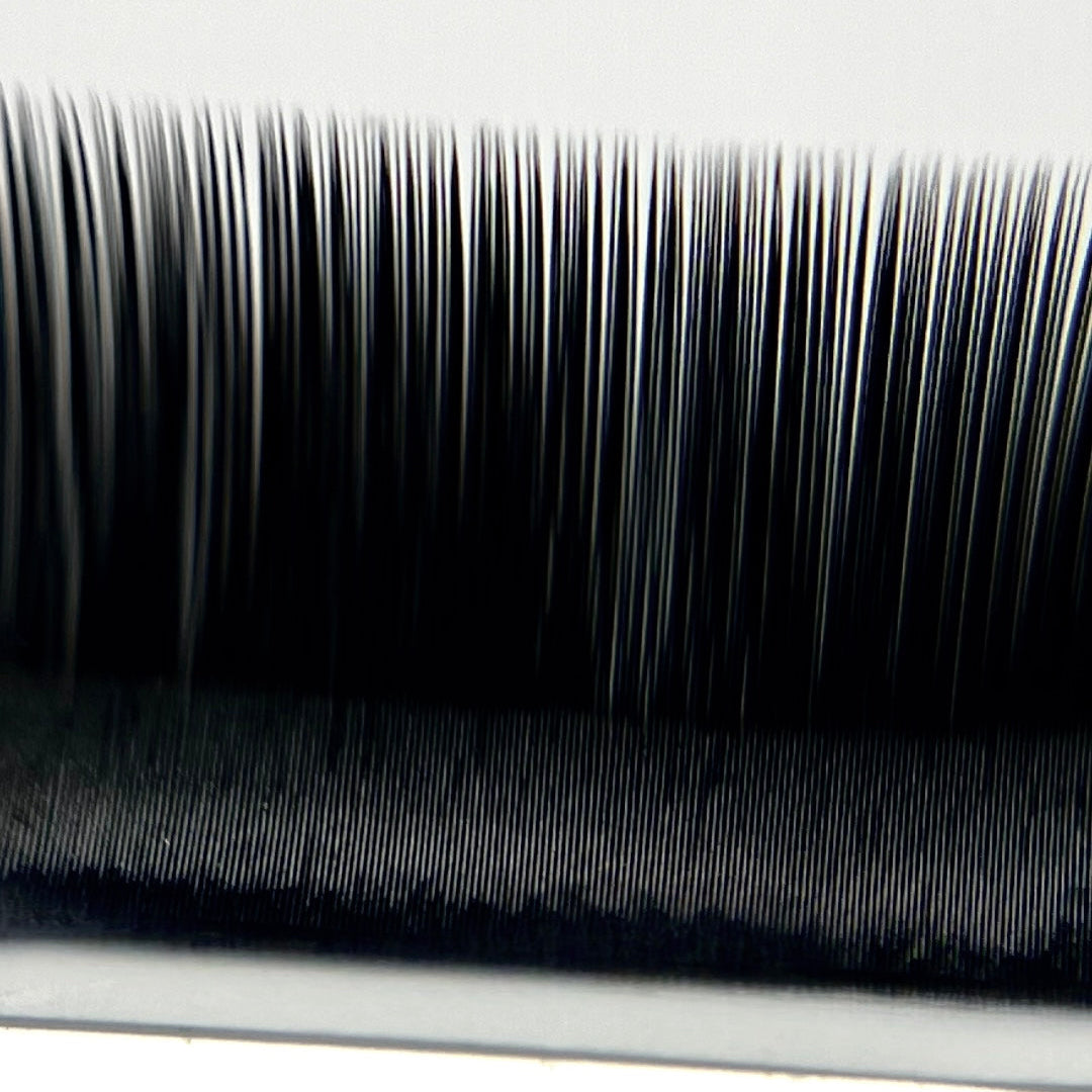 Lash artist holding a black ICONIC lash tray, 24 lines