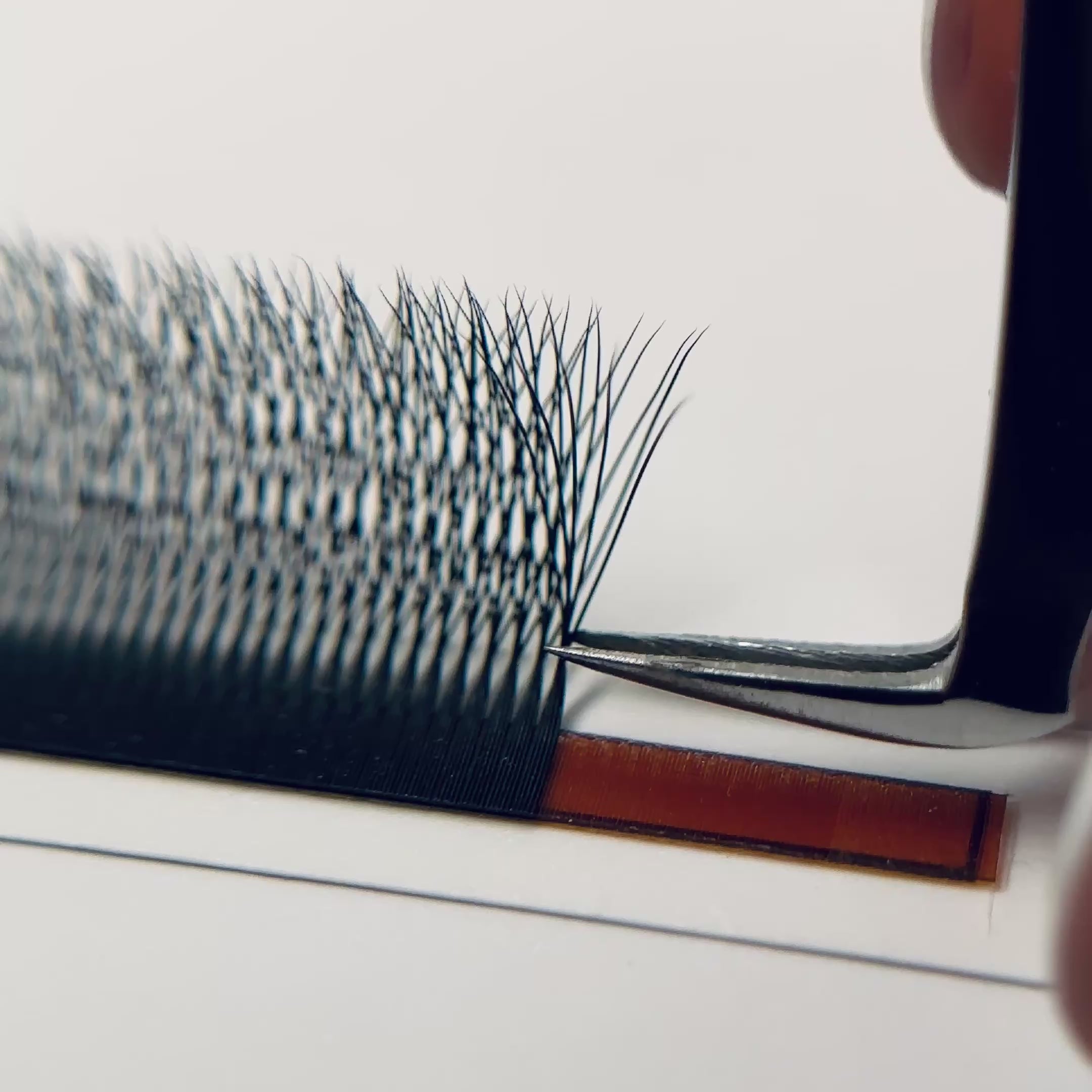 SPEEDY Lashes W - Narrow Premade Fans Black
