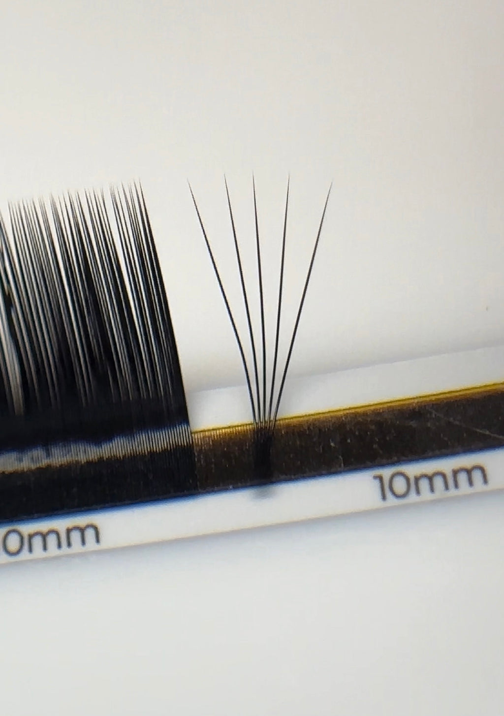 Volume fan built from ESSENTIALS black lash extensions