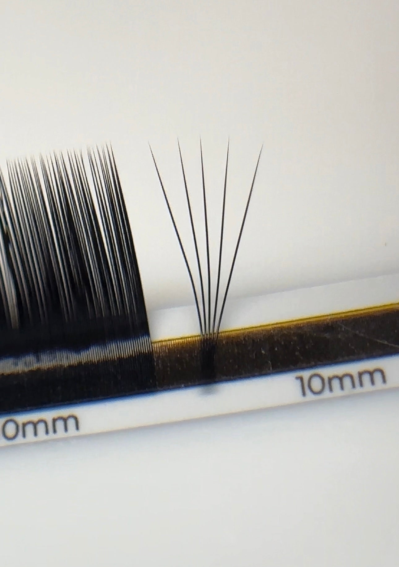 Volume fan built from ESSENTIALS black lash extensions